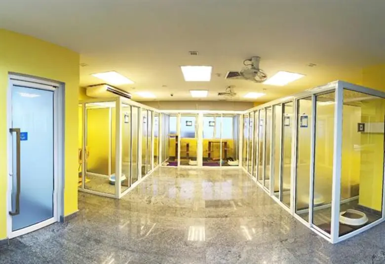 รพส.ทองหล่อ เปิดบริการ “Medical Cat Hotel” โรงแรมแมวแห่งแรก ชูคอนเซปต์อุ่นใจเหมือนอยู่บ้าน พร้อมดูแล 24 ชม.