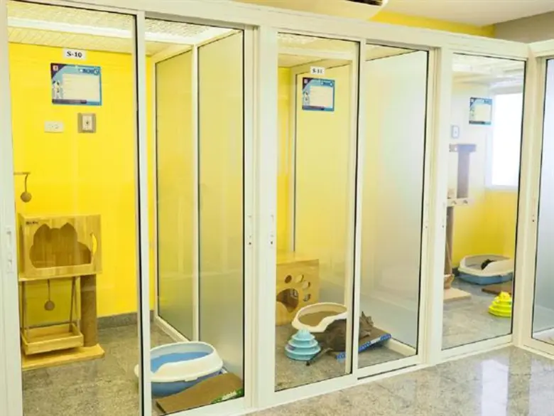 รพส.ทองหล่อ เปิดบริการ “Medical Cat Hotel” โรงแรมแมวแห่งแรก ชูคอนเซปต์อุ่นใจเหมือนอยู่บ้าน พร้อมดูแล 24 ชม.