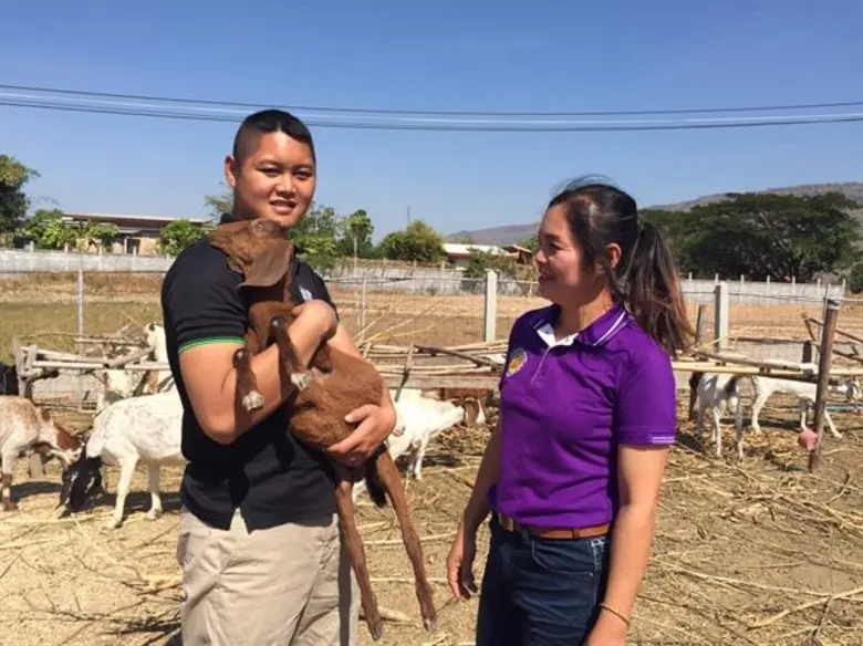 สศก. แนะ 'แพะเนื้อ’ สินค้าปศุสัตว์ทางเลือก เลี้ยงง่าย ใช้พื้นที่น้อย สร้างกำไรงาม