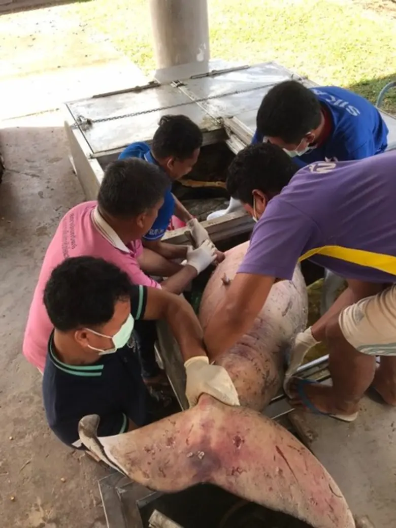 เมื่อวานนี้ 13 มกราคม 2563 เวลา 19.00 น. ...