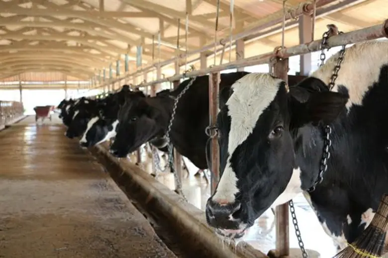 อ.ส.ค. เตรียมจัดงานสุดยิ่งใหญ่“เทศกาลโคนมแห่งชาติ ประจำปี 2563” โชว์ความก้าวหน้าด้านเทคโนโลยีและนวัตกรรมอุตสาหกรรมนมไทย