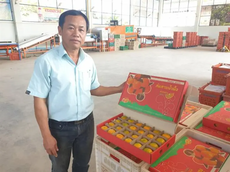 กรมส่งเสริมสหกรณ์ส่งเสริมกลุ่มเกษตรกรทำไร่โป่งน้ำร้อนผลิตส้มคุณภาพ สร้างรายได้สู่ชุมชน