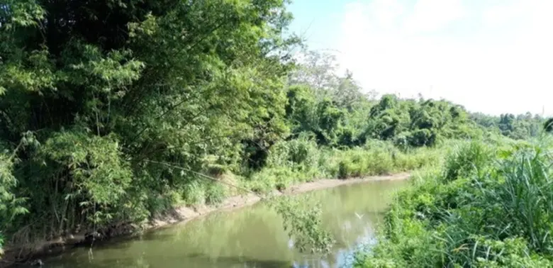 กรมชลประทาน ลุยศึกษาวิเคราะห์ EIA โครงการ...