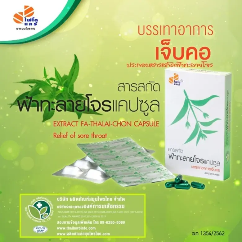 บริษัท ผลิตภัณฑ์สมุนไพรไทย จำกัด ( ไทยเฮิ...