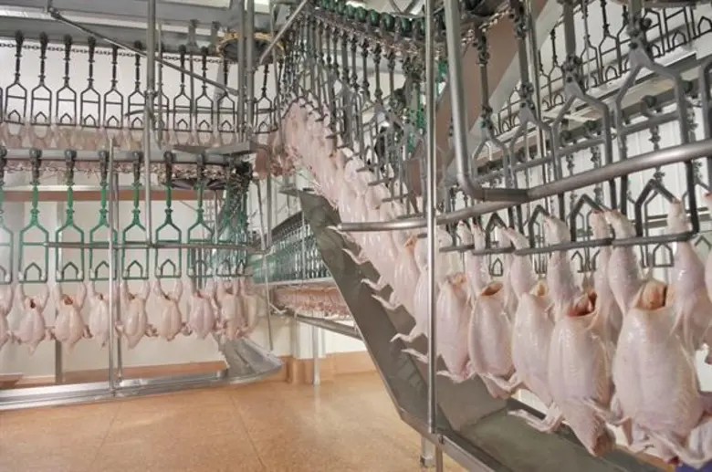 บริษัท เจริญโภคภัณฑ์อาหาร จำกัด (มหาชน) ห...