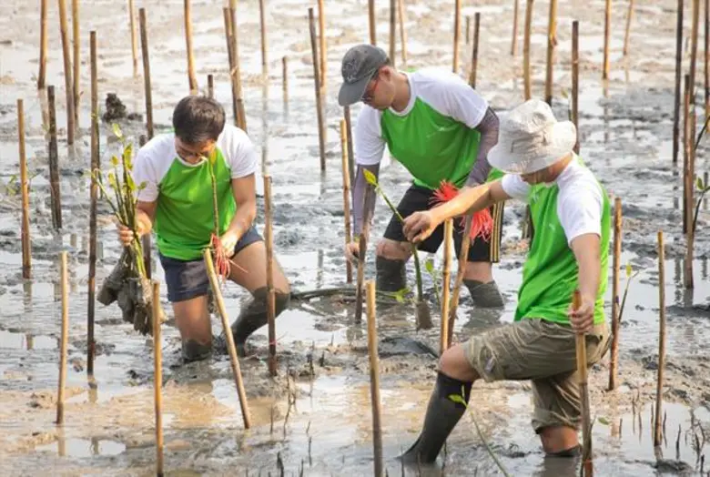 "ชไนเดอร์ อิเล็คทริค ร่วมใจปลูกป่าชายเลน ก้าวสำคัญ กับ กิจกรรมเปลี่ยนของขวัญคุณให้เป็นของขวัญโลก"