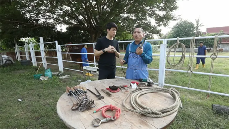 ทีวีไกด์: รายการ "ไทยทึ่ง" “เลโอ” พาทึ่งอาชีพสุดแปลก “ช่างเสริมสวยวัว” จ.อ่างทอง