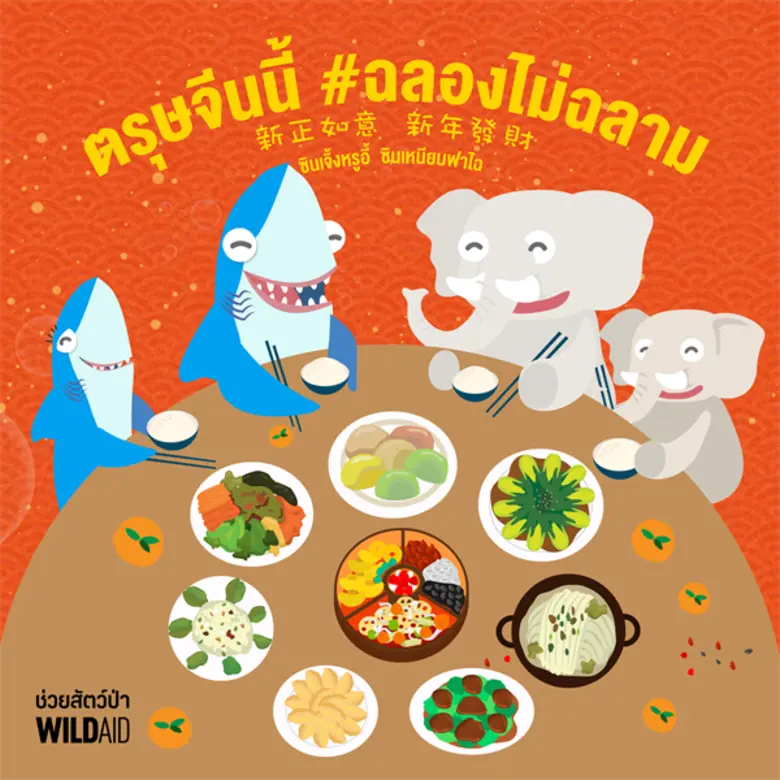 องค์กรไวลด์เอด ช่วยสัตว์ป่า (WildAid) ขอช...