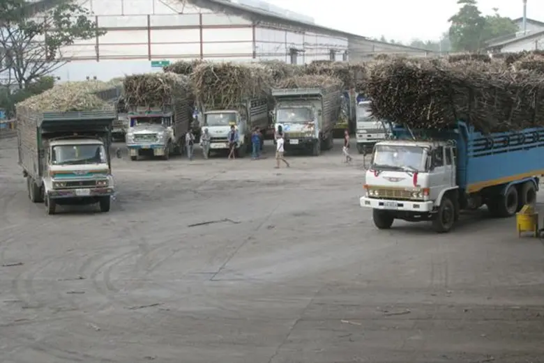 โรงงานน้ำตาล ร่วมมือชาวไร่ตัดอ้อยสด- หนุนสินเชื่อรถตัดอ้อย-รวมแปลงปลูก-รับซื้อใบอ้อย รับสัญญาณดีหลังปริมาณอ้อยเข้าหีบ 50 วันแรก อ้อยไฟไหม้ลดลงอย่างชัดเจน