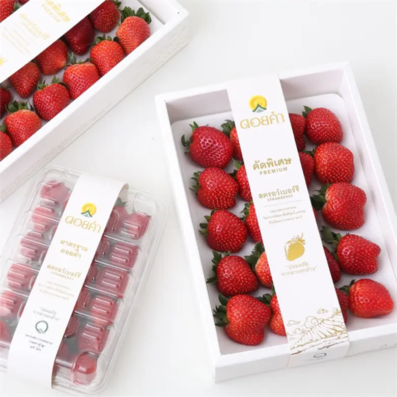 “ดอยคำ” คัดสรร “สตรอว์เบอร์รีสดระดับพรีเมียม” พิเศษเฉพาะฤดูกาล ลูกโต...หอมหวานฉ่ำ...ปลอดสาร ส่งตรงจากลุ่มแม่น้ำงอน จังหวัดเชียงใหม่