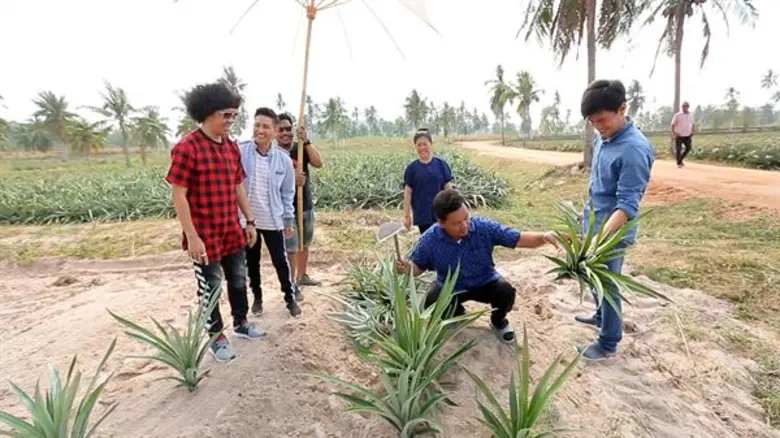 ทีวีไกด์: รายการ “ครัวลั่นทุ่ง” พล่ากุ้ง พาบุกสวนต้นตำหรับสับปะรดศรีราชา