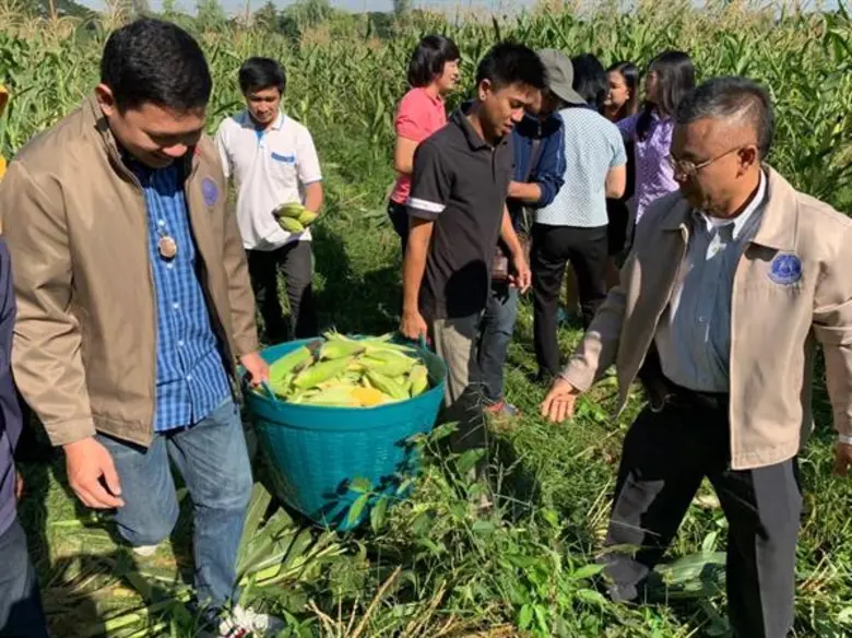 เร่งมาตรการรับมือ 'ภัยแล้ง’ สศก. แนะ เกษตรกรปลูกพืชทางเลือก ใช้น้ำน้อย