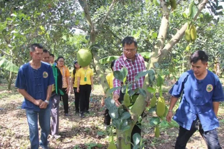 สสก.3 ระยอง นำสื่อมวลชนชมความสำเร็จ “วิสาหกิจชุมชนแปลงใหญ่ขนุนตำบลหนองเหียง” ชูเป็นขนุน GI อำเภอพนัสนิคม จังหวัดชลบุรี