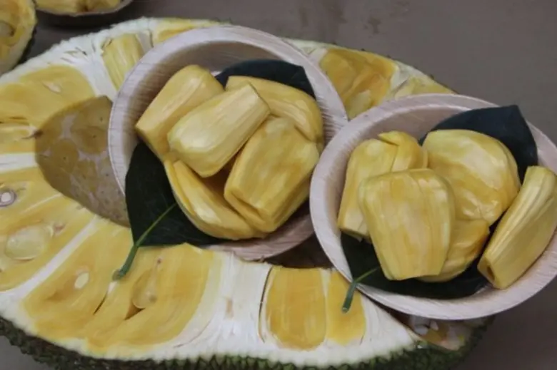 สสก.3 ระยอง นำสื่อมวลชนชมความสำเร็จ “วิสาหกิจชุมชนแปลงใหญ่ขนุนตำบลหนองเหียง” ชูเป็นขนุน GI อำเภอพนัสนิคม จังหวัดชลบุรี