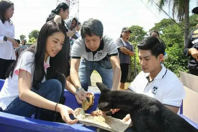 26 ปี สมาคมป้องกันการทารุณสัตว์แห่งประเทศไทย