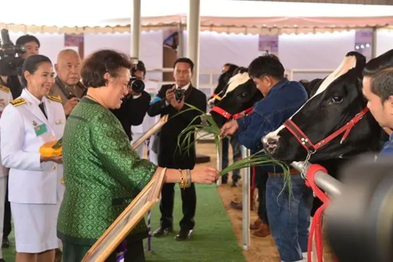 สมเด็จพระกนิษฐาธิราชเจ้า กรมสมเด็จพระเทพรัตนราชสุดาฯ สยามบรมราชกุมารี เสด็จพระราชดำเนินเปิดงานเทศกาลโคนมแห่งชาติ วันแรกอย่างยิ่งใหญ่