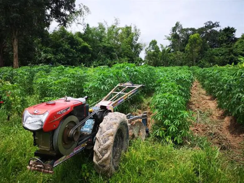 จ.อุบล ผนึก บ.อุบลเกษตรพลังงาน MOU ยกระดับมันสำปะหลังอินทรีย์ ภายใต้อุบลโมเดล