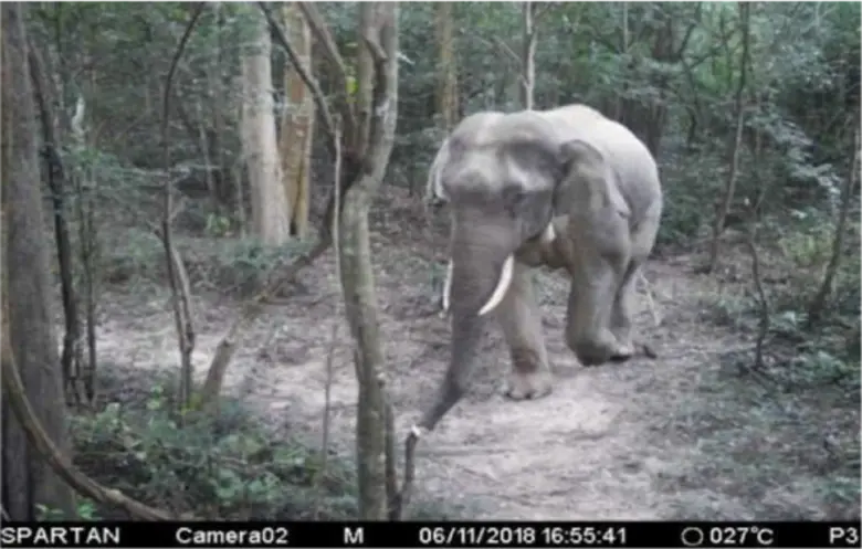 “รั้ว” ระหว่างเรา เรื่องจริงของการทลายความแตกต่างและข้อจำกัดเพื่อให้อยู่ด้วยกันได้อย่างยั่งยืน