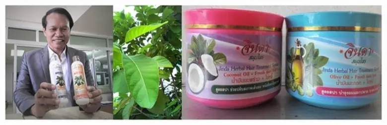 จินดาสมุนไพร ได้เปิดตัวผลิตภัณฑ์ใหม่เพื่อ...