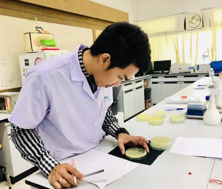 นักวิจัย สกสว. สกัด 'น้ำมันจระเข้’ พบมีโอเมก้า 9 สูง เดินหน้าพัฒนาผลิตภัณฑ์ 'เจลบำรุงผิวต้านการอักเสบ’