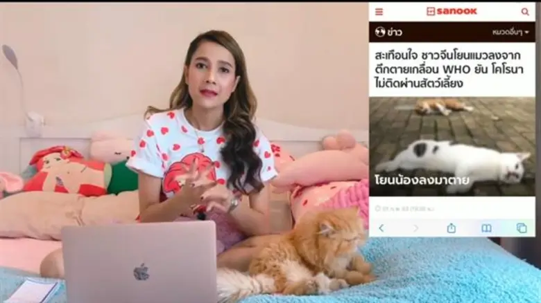 ลูกเกด ร่มเกล้า สุดช็อค หมาแมว ถูกโยนทิ้งตึกสูง ยันไวรัสโคโรน่า จากสัตว์ไม่ติดสู่คน วอนอยุดทำร้ายแต่ดูแลให้ถูกวิธี