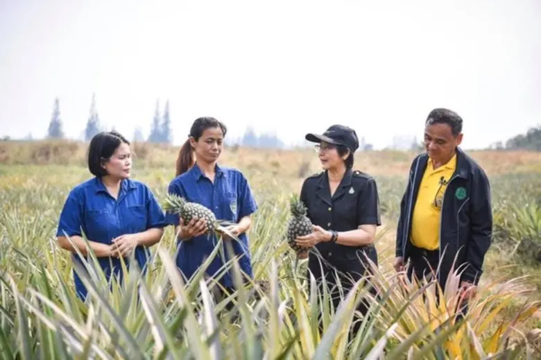 ภาพข่าว: มกอช. หนุนวิสาหกิจชุมชนแม่บ้านโป่งกระทิง พัฒนา โรงคัดบรรจุผักและผลไม้ เข้าสู่ระบบมาตรฐาน GMP