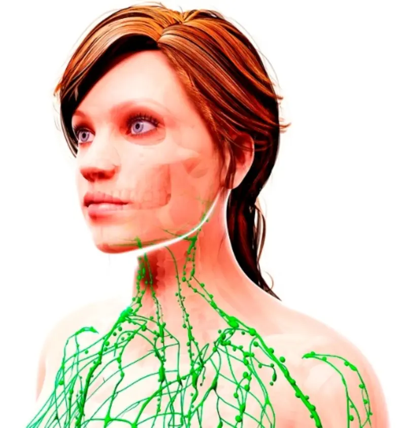 มะเร็งต่อมน้ำเหลืองชนิดฮอดจ์กิน ศัตรูตัวร้ายของระบบภูมิคุ้มกัน