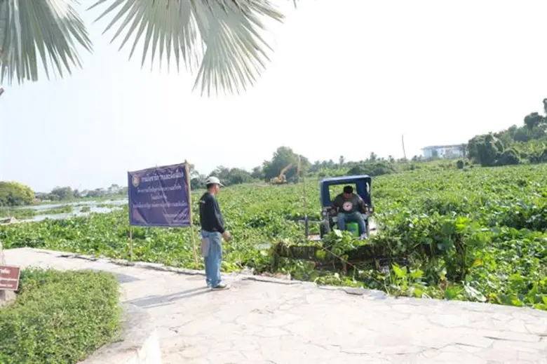 กรมโยธาธิการและผังเมือง เร่งดำเนินการกำจัดผักตบชวาจังหวัดนครปฐม