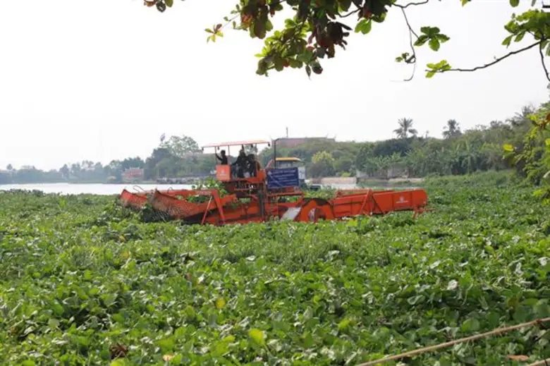 กรมโยธาธิการและผังเมือง เร่งดำเนินการกำจัดผักตบชวาจังหวัดนครปฐม
