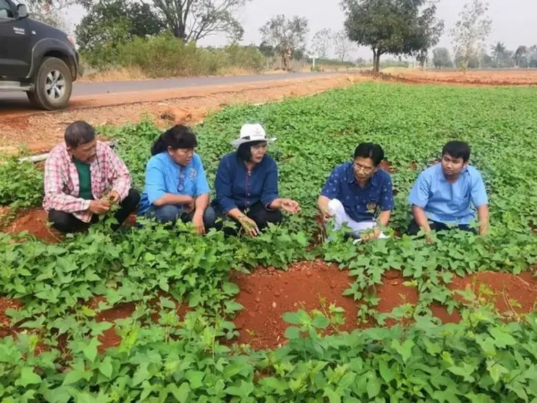 กรมส่งเสริมการเกษตรเผย 8 มาตรการช่วยเหลือเกษตรกรในสถานการณ์ฤดูแล้ง ปี 2562/63