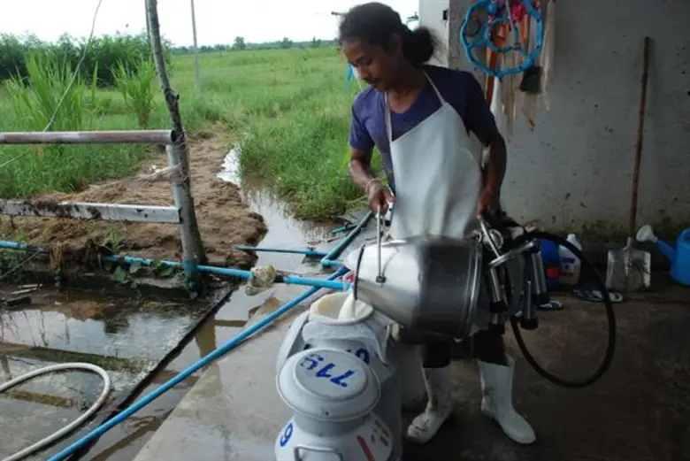 กรมส่งเสริมสหกรณ์ จับมือ ม.มหาสารคาม และ ม.เกษตรฯ กำแพงแสน สานต่ออาชีพพระราชทาน สนับสนุนทุนการศึกษาปริญญาตรีบุตร - หลานสมาชิกสหกรณ์ผู้เลี้ยงโคนม