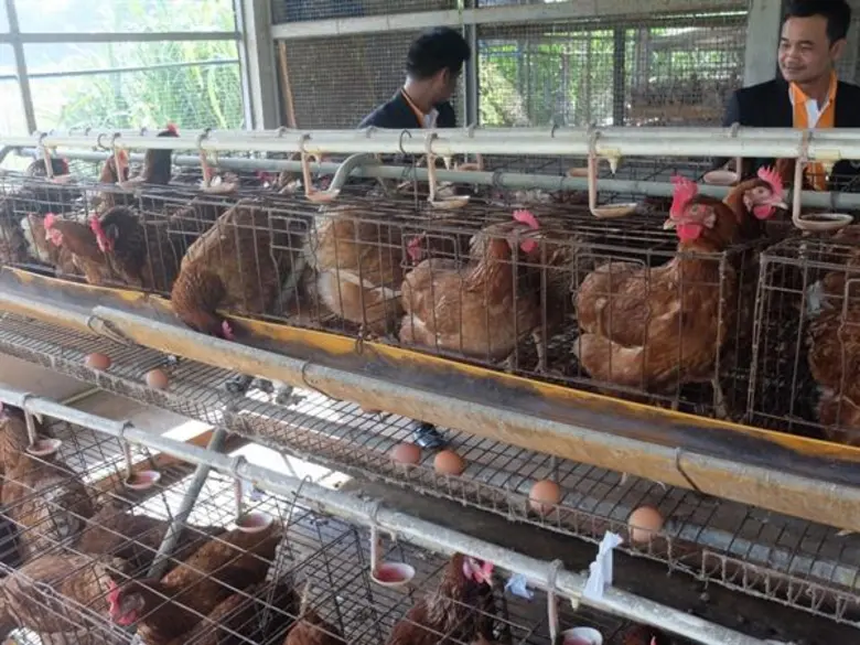 มูลนิธิ EDF จับมือกลุ่มธุรกิจ TCP ศึกษาดูงานโครงการ “ปลูกกล้าเกษตรอินทรีย์ สู่วิถีพลเมืองอาหาร"