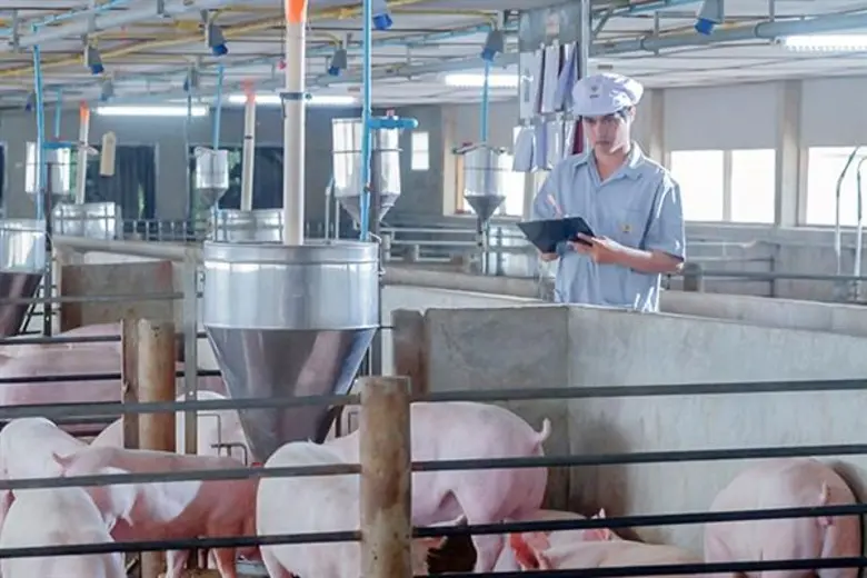 ซีพีเอฟยึดหลักสวัสดิภาพสัตว์สากล ผลิตอาหารมั่นคง-ปลอดภัยยั่งยืน