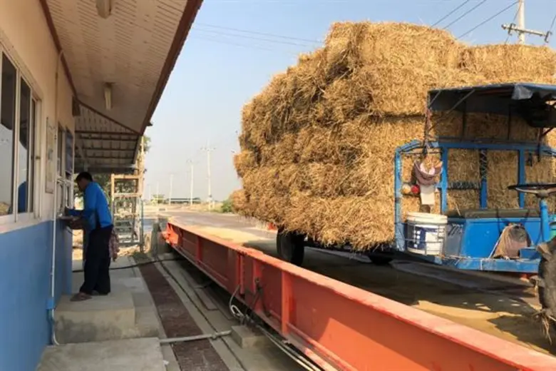 เอสซีจี ร่วมกับ สยามคูโบต้า หอการค้าไทยและสภาหอการค้าแห่งประเทศไทย รับซื้อฟางข้าว ใบอ้อย และซังข้าวโพด เพื่ออากาศสะอาดและแก้ปัญหา PM 2.5 จากการเผาไร่ พร้อมเสริมรายได้ให้เกษตรกร