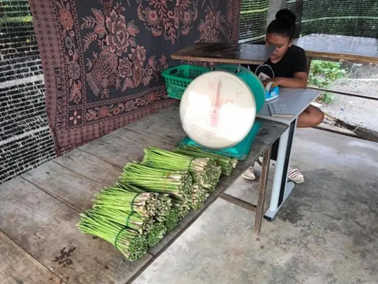 เกษตรฯ จับมือ สภาหอการค้า นำร่องเมืองกาญจน์ ดัน 'หน่อไม้ฝรั่ง-ข้าวโพดฝักอ่อน’ พืชมูลค่าสูง สร้างรายได้เกษตรกร