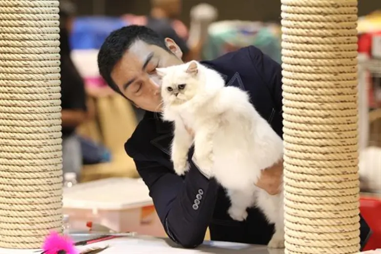 กลับมาอีกครั้ง...กับงาน Royal Canin International Cat Show 2020 ครั้งที่ 6 งานประกวดแมวสวยงามสุดยิ่งใหญ่แห่งปี ชมการประกวดกรูมมิ่งแมวครั้งแรก ในไทยที่ทาสเหมียวทุกคนห้ามพลาด