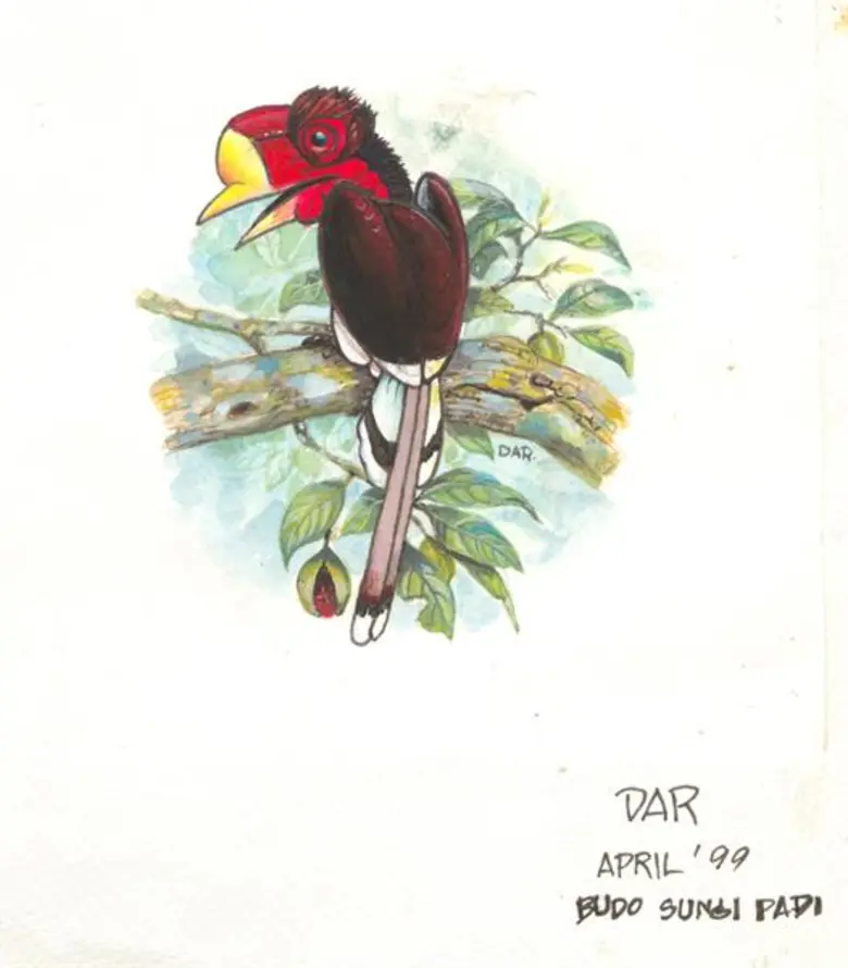 ผลิตภัณฑ์เครื่องแต่งกายคู่รัก HORNBILL (ฮอนบิลล์) ร่วมกับมูลนิธิศึกษาวิจัยนกเงือก คณะวิทยาศาสตร์ มหาวิทยาลัยมหิดล จัดกิจกรรม “วันรักนกเงือก” ครั้งที่ 21 เปิดโครงการประกวดออกแบบลวดลาย “เสื้อคู่รัก” (HORNBILL LOVER) ในวันพฤหัสบดี ที่ 13 กุมภาพันธ์ 2563