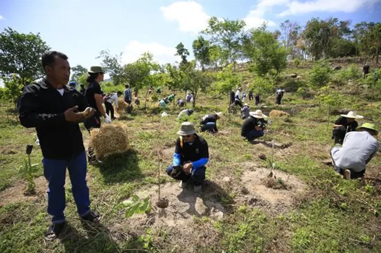 ชุมชนได้พึ่งผืนป่า ซีพีเอฟร่วมฟื้นฟู "เขาพระยาเดินธง"