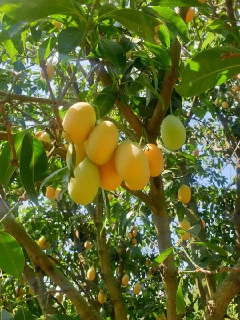 สำนักส่งเสริมและฝึกอบรม มหาวิทยาลัยเกษตรศาสตร์ จัดโ...