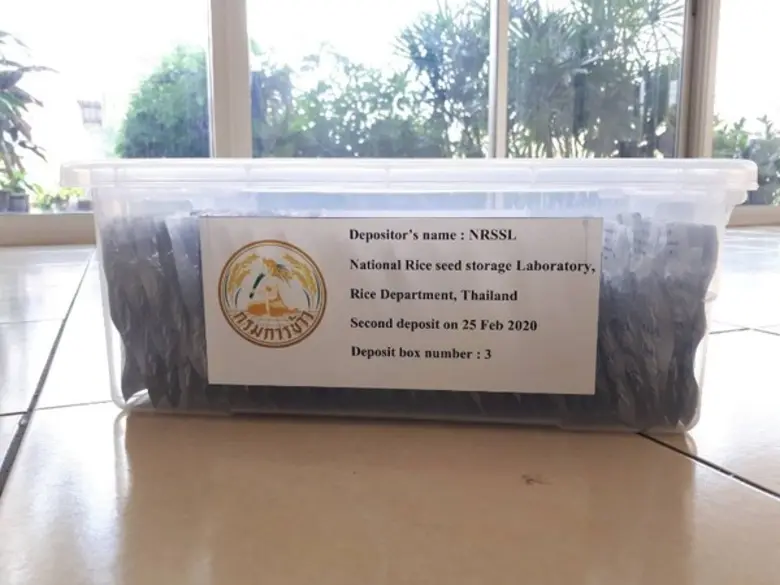 กรมการข้าวสนองพระราชประสงค์ กรมสมเด็จพระเทพฯ เตรียมส่งเมล็ดพันธุ์ข้าวล็อตที่ 3 กว่า 60 พันธุ์ เก็บรักษาไว้ในธนาคารเมล็ดพันธุ์พืชโลก