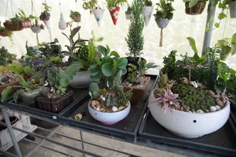 นางศิลปสวย ระวีแสงสูรย์ ปลัดกรุงเทพมหานคร...