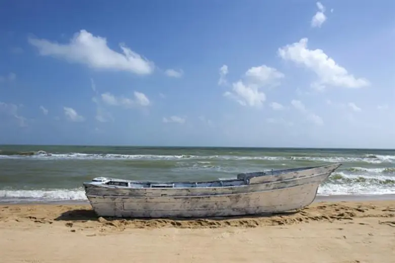 นิทรรศการ Phantoms and Aliens | The Invisible Other (Chapter 1) ลอรีดานา ปาซซินี ปาราซซินี ภัณฑารักษ์ชื่อดัง สร้างสรรค์ผลงานโดยอำพรรณี สะเตาะ ศิลปินหญิงชาวไทย 28 กุมภาพันธ์ - 28 มีนาคม 2563 ที่กรุงเทพมหานคร