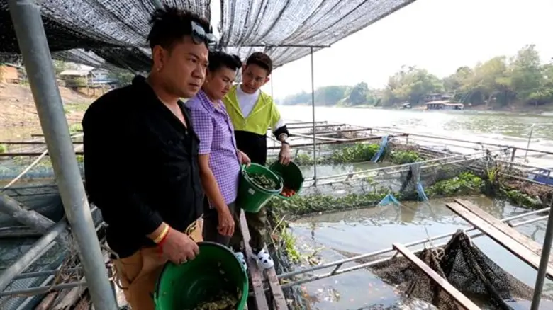 ทีวีไกด์: รายการ “ครัวลั่นทุ่ง” จุ๊บจิ๊บ เชิญยิ้ม ล่องแพจับปลาแรดมาทอดกรอบ ในรายการ“ครัวลั่นทุ่ง”ช่อง 8