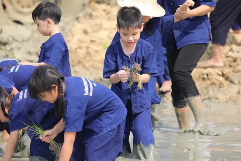 จากสถานการณ์การแพร่ระบาดของ "ไวรัสโคโรน่า...