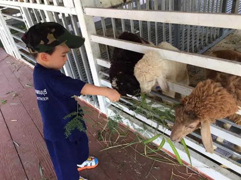 'สาธิตกรุงเทพธนฯ’ ห่วงใยสุขภาพของ นร. จัดกิจกรรมเสริมประสบการณ์ภายใน รร. แทน