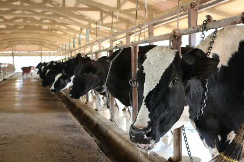 อ.ส.คเร่งดันเกษตรกรโคนมสู่ Smart  Farmer เสริมแกร่งอุตสาหกรรมการเลี้ยงโคนมไทย