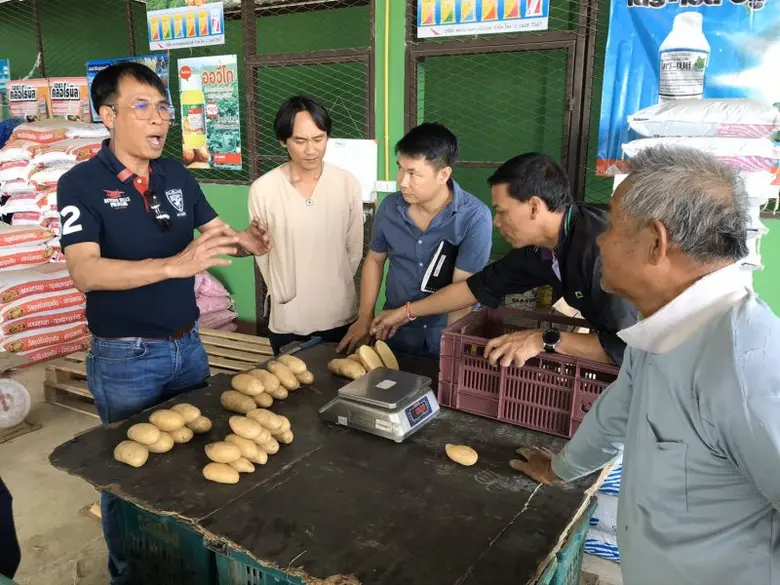 สหกรณ์จังหวัดเชียงใหม่ หนุนสหกรณ์ผลิตมันฝรั่งป้อนห้างบิ๊กซี เกษตรกรมีเฮ !!!ได้ราคาดี