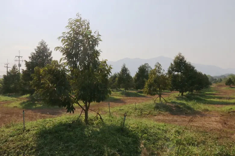 สร้างความเข้าใจ ลดความขัดแย้ง แท็งก์น้ำของอีอีซี “แก่งหางแมว โมเดล” การจัดการน้ำที่มาจากประชาชน