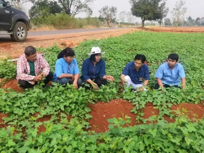 กรมส่งเสริมการเกษตรสั่งการผ่าน VDO Conference กำชับเจ้าหน้าที่เร่งติดตามแก้ไขปัญหาภัยแล้งด้านการเกษตรอย่างเร่งด่วน