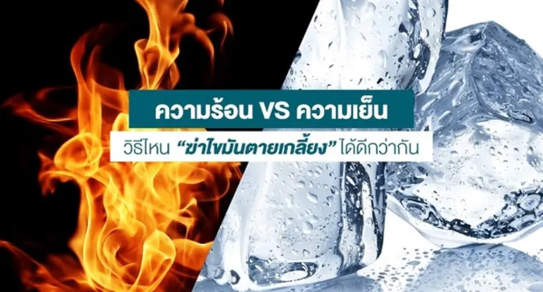 ถ้าพูดถึงไขมัน หลายๆ คนคงจะนึกขยาดกับศัตร...